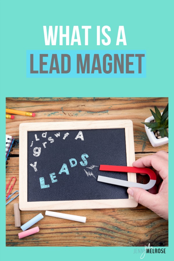 What is a lead magnet?  To grow an email list you need a lead magnet that attracts your ideal audience.  #bloggingtips #beginningblogging